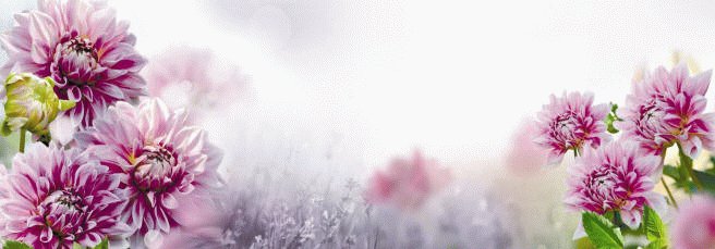 Панель 695*2070" Фартуки" полноцвет - фото в Миди Лтд Изображение товара Панель 695*2070" Фартуки" полноцвет в Миди Лтд