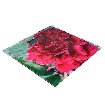 Весы напольные электронные Цветы  ХХ - фото в Миди Лтд Изображение товара Весы напольные электронные Цветы  ХХ в Миди Лтд