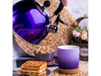 Чайник нерж сталь 2,5л (MSY-021P) со свистком ручка пластиковая индукция зеркальный Daniks  - фото в Миди Лтд Изображение товара Чайник нерж сталь 2,5л (MSY-021P) со свистком ручка пластиковая индукция зеркальный Daniks  в Миди Лтд