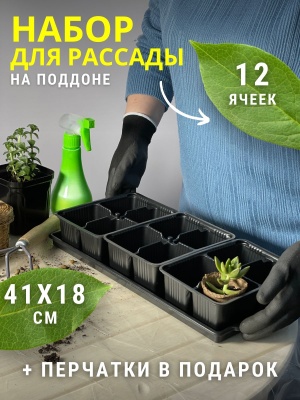 Ячейки для рассады Универсал 12 с поддоном 410*180*60мм - фото в Миди Лтд Изображение товара Ячейки для рассады Универсал 12 с поддоном 410*180*60мм в Миди Лтд