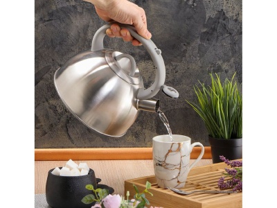 Чайник нерж сталь 2,6л (MSY-065) со свистком индукция зеркальный Daniks (12шт/уп) - фото в Миди Лтд Изображение товара Чайник нерж сталь 2,6л (MSY-065) со свистком индукция зеркальный Daniks (12шт/уп) в Миди Лтд