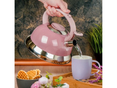 Чайник нерж сталь 3л (M-017) со свистком ручка с силиконовым покрытием индукция зеркальный Daniks  - фото в Миди Лтд Изображение товара Чайник нерж сталь 3л (M-017) со свистком ручка с силиконовым покрытием индукция зеркальный Daniks  в Миди Лтд