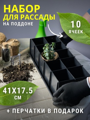 Ящик для рассады Универсал 10 с перегородками 410*180*115мм - фото в Миди Лтд Изображение товара Ящик для рассады Универсал 10 с перегородками 410*180*115мм в Миди Лтд