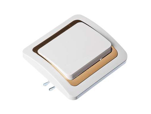 Изображение товара Выключатель 1кл. БЕЛЫЙ с золотой вставкой 10А 250В  ХХ в Миди Лтд