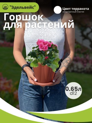 Горшок ЭДЕЛЬВЕЙС с поддоном d12см 0,65л терракот (36шт/уп) - фото в Миди Лтд Изображение товара Горшок ЭДЕЛЬВЕЙС с поддоном d12см 0,65л терракот (36шт/уп) в Миди Лтд
