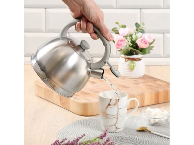 Чайник нерж сталь 2л (M-006) со свистком ручка бакелитовая с силиконовым покрытием индукция матовый  - фото в Миди Лтд Изображение товара Чайник нерж сталь 2л (M-006) со свистком ручка бакелитовая с силиконовым покрытием индукция матовый  в Миди Лтд