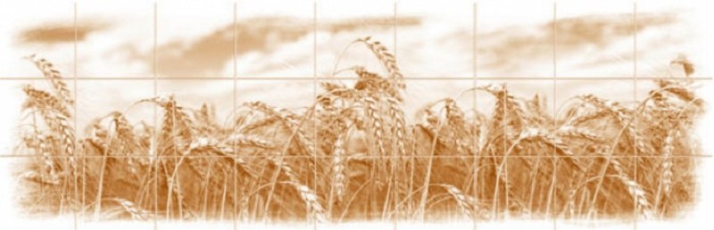 Панель отделочная 695*2070 Рожь цвет Коричневый - фото в Миди Лтд Изображение товара Панель отделочная 695*2070 Рожь цвет Коричневый в Миди Лтд