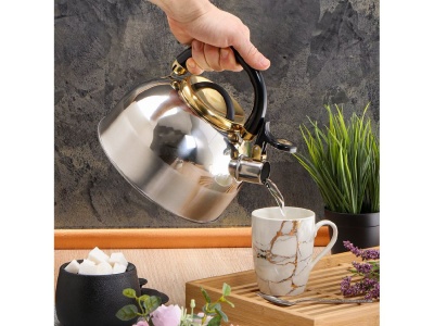 Чайник нерж сталь 3л (M-001PM) со свистком ручка бакелитовая с силиконовым покрытием индукция  - фото в Миди Лтд Изображение товара Чайник нерж сталь 3л (M-001PM) со свистком ручка бакелитовая с силиконовым покрытием индукция  в Миди Лтд