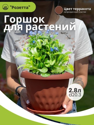 Горшок для растений РОЗЕТТА с поддоном d200мм 2,8л терракот (14шт/уп) - фото в Миди Лтд Изображение товара Горшок для растений РОЗЕТТА с поддоном d200мм 2,8л терракот (14шт/уп) в Миди Лтд