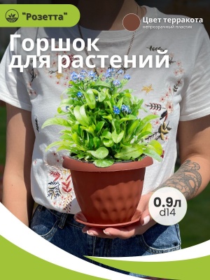 Изображение товара Горшок для растений РОЗЕТТА с поддоном d140мм 0,9л терракот (36шт/уп) в Миди Лтд