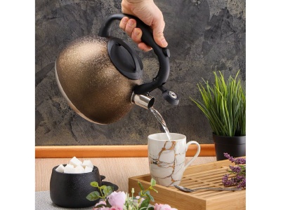 Чайник нерж сталь 2,7л (M-084) со свистком ручка бакелитовая с силиконовым покрытием индукция  - фото в Миди Лтд Изображение товара Чайник нерж сталь 2,7л (M-084) со свистком ручка бакелитовая с силиконовым покрытием индукция  в Миди Лтд