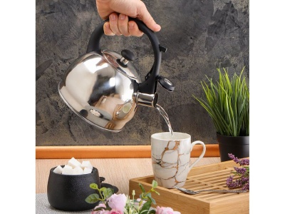 Чайник нерж сталь 2л (M-081) со свистком ручка бакелитовая с силиконовым покрытием индукция  - фото в Миди Лтд Изображение товара Чайник нерж сталь 2л (M-081) со свистком ручка бакелитовая с силиконовым покрытием индукция  в Миди Лтд