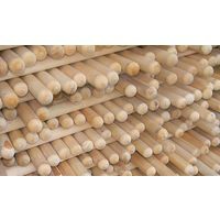 Изображение товара Черенок ф32 1,5м Высший сорт (10шт/уп) в Миди Лтд