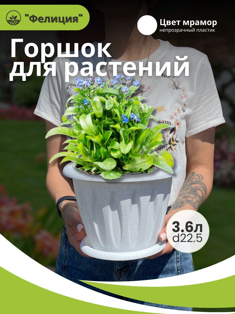 Горшок для растений ФЕЛИЦИЯ с поддоном d225мм 3,6л мрамор (10шт/уп) - фото в Миди Лтд Изображение товара Горшок для растений ФЕЛИЦИЯ с поддоном d225мм 3,6л мрамор (10шт/уп) в Миди Лтд