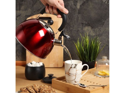 Чайник нерж сталь 2,5л (MSY-021R) со свистком ручка пластиковая индукция зеркальный Daniks красный  - фото в Миди Лтд Изображение товара Чайник нерж сталь 2,5л (MSY-021R) со свистком ручка пластиковая индукция зеркальный Daniks красный  в Миди Лтд