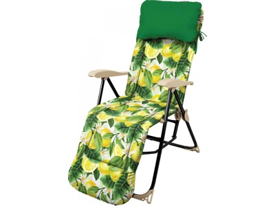 Кресло-шезлонг с подножкой и матрасом Haushalt 820x590x1160 с лимонами - фото в Миди Лтд Изображение товара Кресло-шезлонг с подножкой и матрасом Haushalt 820x590x1160 с лимонами в Миди Лтд