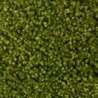 Ковролин Liberti зеленый 4м - фото в Миди Лтд Изображение товара Ковролин Liberti зеленый 4м в Миди Лтд