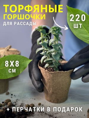 Горшочки торфяные 80*80 круглый (220шт/уп) - фото в Миди Лтд Изображение товара Горшочки торфяные 80*80 круглый (220шт/уп) в Миди Лтд