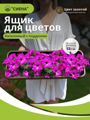 Изображение товара Ящик для растений СИЕНА с поддоном 58см золотой (5шт/уп) в Миди Лтд