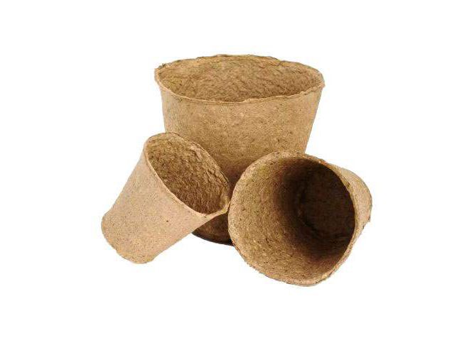 Горшочки торфяные 110*100 круглый - фото в Миди Лтд Изображение товара Горшочки торфяные 110*100 круглый в Миди Лтд