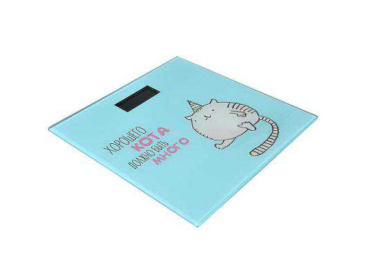 Весы напольные электронные ХХ - фото в Миди Лтд Изображение товара Весы напольные электронные ХХ в Миди Лтд