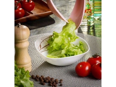 Салатник стеклокерамика квадратный 16см 0,4л Daniks Орфей (6шт/уп) Х - фото в Миди Лтд Изображение товара Салатник стеклокерамика квадратный 16см 0,4л Daniks Орфей (6шт/уп) Х в Миди Лтд