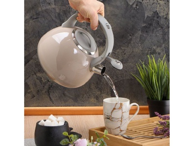 Чайник нерж сталь 2,7л (M-083G) со свистком ручка бакелитовая с силиконовым покрытием индукция  - фото в Миди Лтд Изображение товара Чайник нерж сталь 2,7л (M-083G) со свистком ручка бакелитовая с силиконовым покрытием индукция  в Миди Лтд