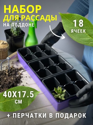 Ящик для рассады Профи 18 с ячейками 400*175*60мм цветной - фото в Миди Лтд Изображение товара Ящик для рассады Профи 18 с ячейками 400*175*60мм цветной в Миди Лтд