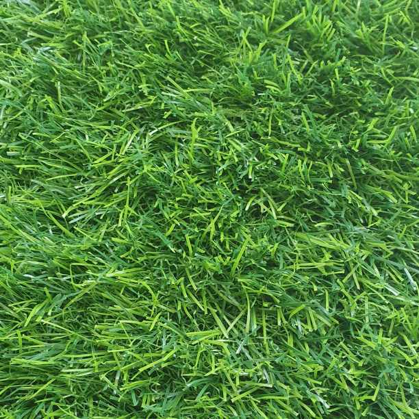 Изображение товара Ковролин Grass 35 мм 2м в Миди Лтд