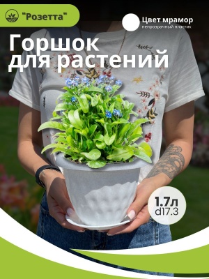 Горшок для растений РОЗЕТТА с поддоном d170мм 1,7л мрамор (12шт/уп) - фото в Миди Лтд Изображение товара Горшок для растений РОЗЕТТА с поддоном d170мм 1,7л мрамор (12шт/уп) в Миди Лтд