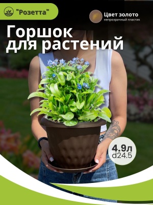 Изображение товара Горшок для растений РОЗЕТТА с поддоном d245мм 4,9л золотой (10шт/уп) в Миди Лтд