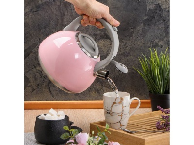 Чайник нерж сталь 2,7л (M-083P) со свистком ручка бакелитовая с силиконовым покрытием индукция  - фото в Миди Лтд Изображение товара Чайник нерж сталь 2,7л (M-083P) со свистком ручка бакелитовая с силиконовым покрытием индукция  в Миди Лтд