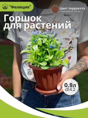Горшок для растений ФЕЛИЦИЯ с поддоном d140мм 0,9л терракот (54шт/уп) - фото в Миди Лтд Изображение товара Горшок для растений ФЕЛИЦИЯ с поддоном d140мм 0,9л терракот (54шт/уп) в Миди Лтд