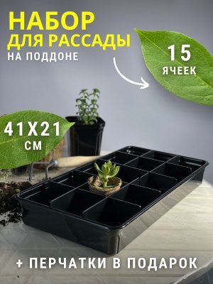 Набор для рассады Пианто с перегородками (39шт/уп) - фото в Миди Лтд Изображение товара Набор для рассады Пианто с перегородками (39шт/уп) в Миди Лтд