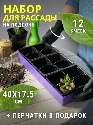 Ящик для рассады Профи 12 с ячейками 400*175*60мм цветной - фото в Миди Лтд Изображение товара Ящик для рассады Профи 12 с ячейками 400*175*60мм цветной в Миди Лтд