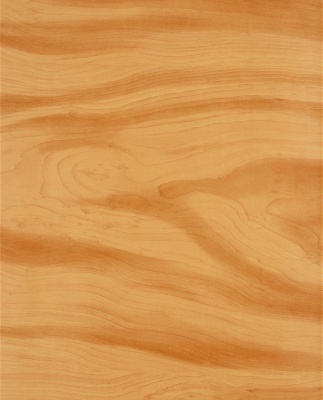 Изображение товара Пленка самоклеющаяся "GEKKOFIX" клен светлый 0,675*8м в Миди Лтд