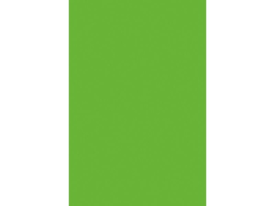 ЛДСП Kronospan  2800*2070*16мм  Зеленая Мамба 7190 BS (30шт/пал) - фото в Миди Лтд Изображение товара ЛДСП Kronospan  2800*2070*16мм  Зеленая Мамба 7190 BS (30шт/пал) в Миди Лтд