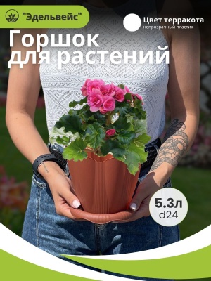 Горшок ЭДЕЛЬВЕЙС с поддоном d24см 5,3л терракот (10шт/уп) - фото в Миди Лтд Изображение товара Горшок ЭДЕЛЬВЕЙС с поддоном d24см 5,3л терракот (10шт/уп) в Миди Лтд