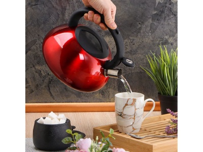 Чайник нерж сталь 3л (DSC-8798) со свистком ручка с силиконовым покрытием индукция зеркальный  - фото в Миди Лтд Изображение товара Чайник нерж сталь 3л (DSC-8798) со свистком ручка с силиконовым покрытием индукция зеркальный  в Миди Лтд