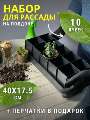 Ящик для рассады Профи 10 с перегородками 400*175*115мм - фото в Миди Лтд Изображение товара Ящик для рассады Профи 10 с перегородками 400*175*115мм в Миди Лтд