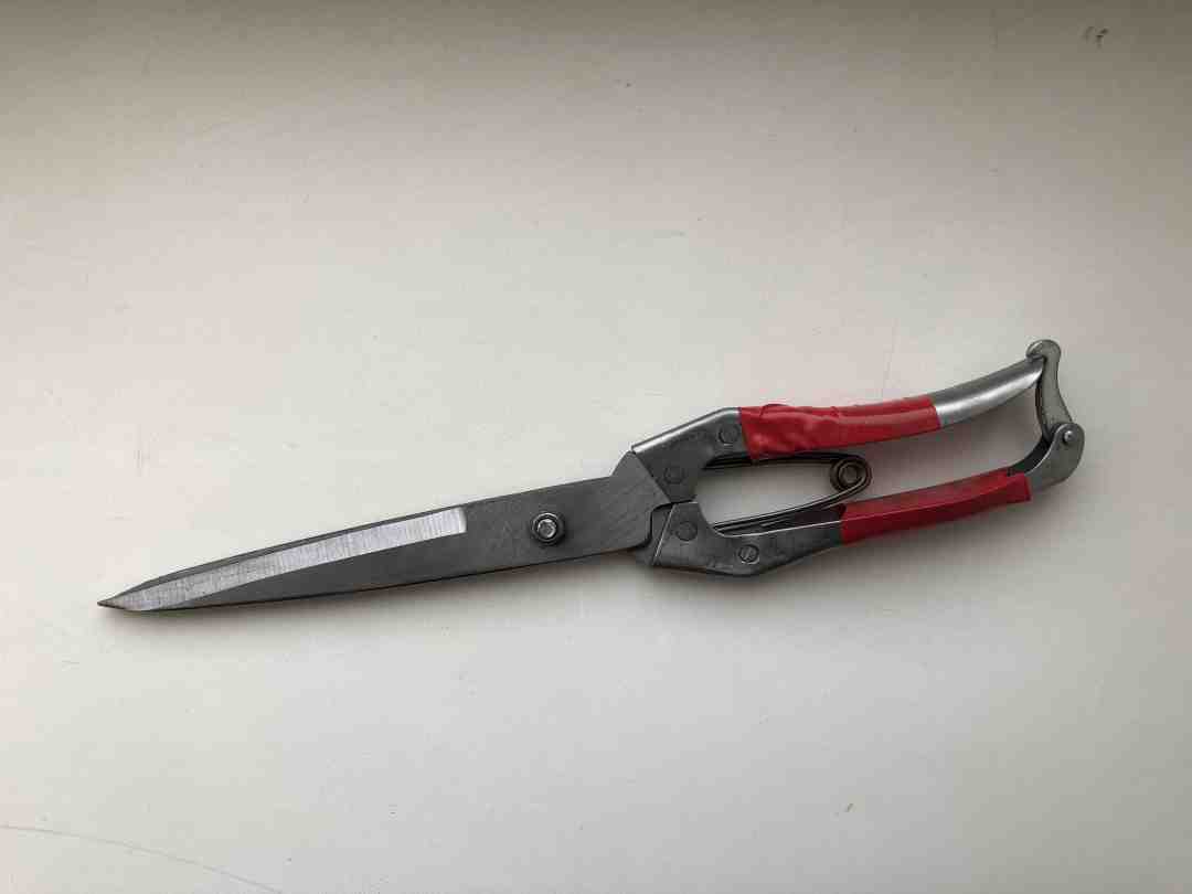 Изображение товара Ножницы универсальные (100шт/кор) в Миди Лтд