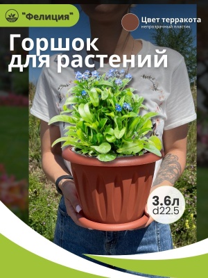 Изображение товара Горшок для растений ФЕЛИЦИЯ с поддоном d225мм 3,6л терракот (10шт/уп) в Миди Лтд