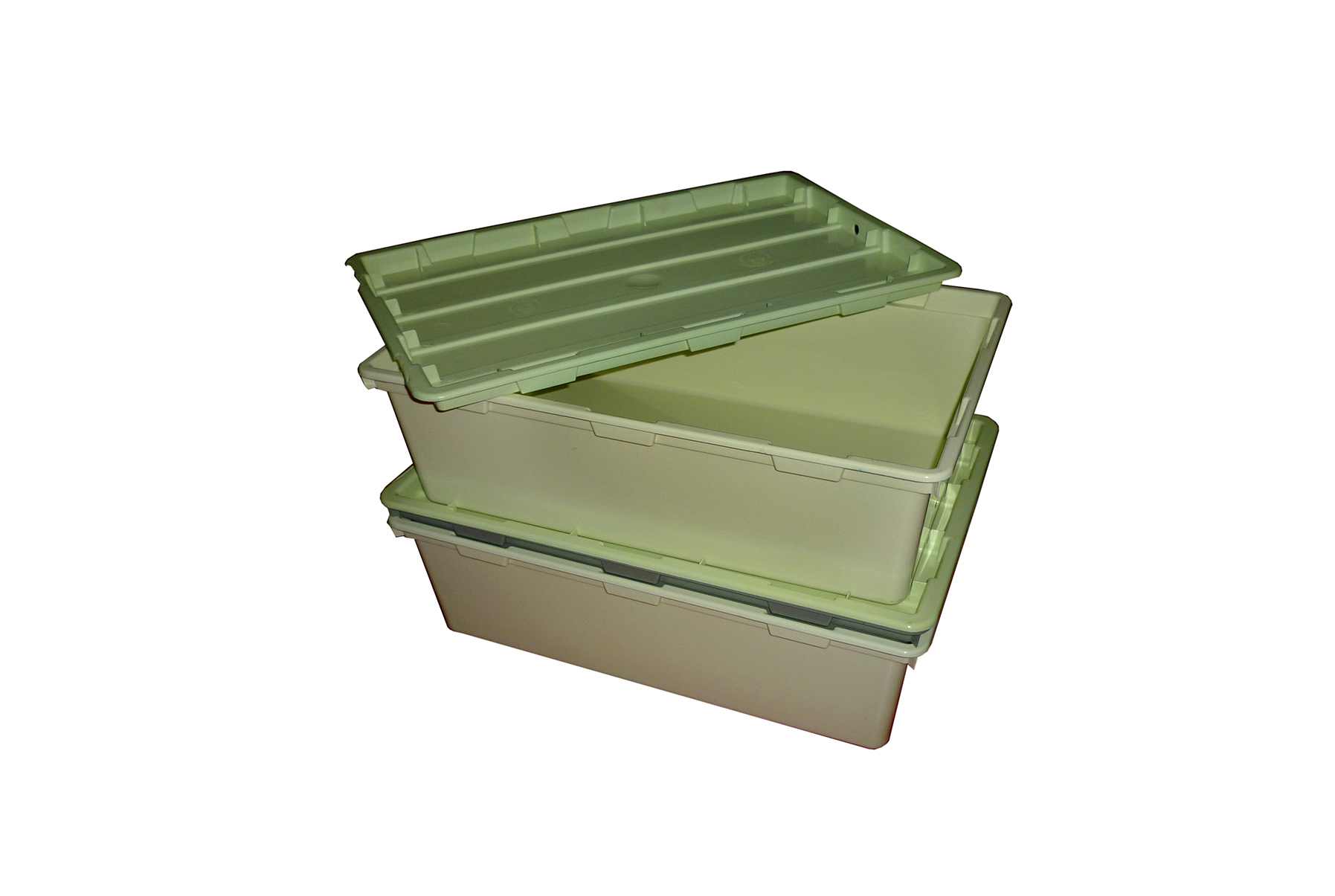 tvi0000016869 tvi0000016869