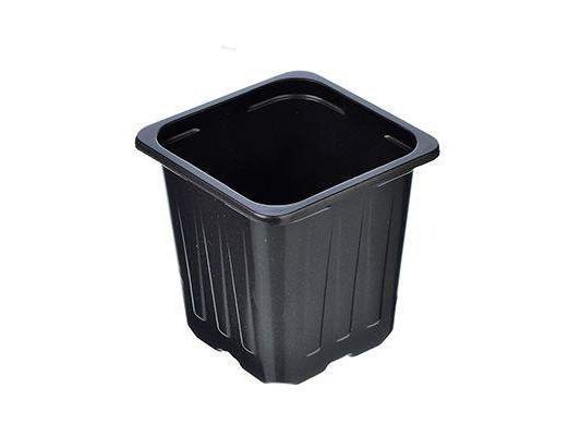 Горшок для рассады 7*7*7см 0,2л квадрат   ХХ - фото в Миди Лтд Изображение товара Горшок для рассады 7*7*7см 0,2л квадрат   ХХ в Миди Лтд