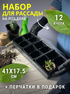 Ящик для рассады Профи 12 с ячейками 410*175*60мм - фото в Миди Лтд Изображение товара Ящик для рассады Профи 12 с ячейками 410*175*60мм в Миди Лтд