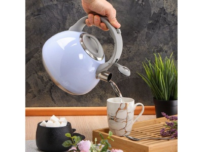 Чайник нерж сталь 2,5л (M-083B) со свистком ручка бакелитовая с силиконовым покрытием индукция Х - фото в Миди Лтд Изображение товара Чайник нерж сталь 2,5л (M-083B) со свистком ручка бакелитовая с силиконовым покрытием индукция Х в Миди Лтд