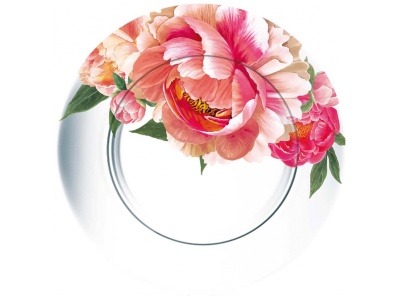 Изображение товара Тарелка мелкая Корнелия 195мм (12шт/уп) в Миди Лтд