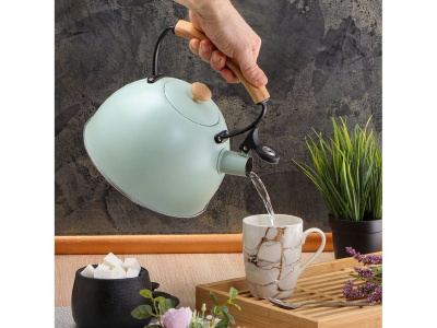 Чайник нерж сталь 2,5л (MSY-078) со свистком ручка металл деревоиндукция матовый Daniks ментоловый  - фото в Миди Лтд Изображение товара Чайник нерж сталь 2,5л (MSY-078) со свистком ручка металл деревоиндукция матовый Daniks ментоловый  в Миди Лтд