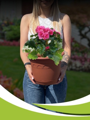 Изображение товара Горшок КОЛЫВАНЬ с поддоном d26см 6,7л терракот (12шт/уп) в Миди Лтд