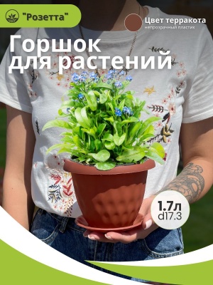 Горшок для растений РОЗЕТТА с поддоном d170мм 1.7л терракот (12шт/уп) - фото в Миди Лтд Изображение товара Горшок для растений РОЗЕТТА с поддоном d170мм 1.7л терракот (12шт/уп) в Миди Лтд